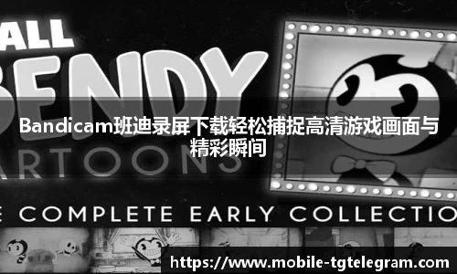 Bandicam班迪录屏下载轻松捕捉高清游戏画面与精彩瞬间